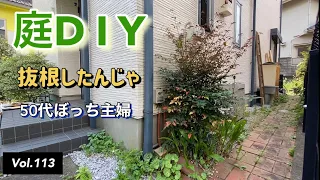 【庭DIY】 #113 南天の木をDIYで抜根しました