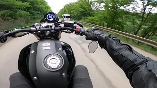 Yamaha XSR900 reaching 200km/h wheelie