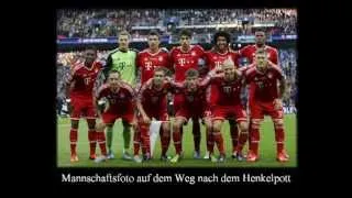 FC Bayern Stern des Südens 2013