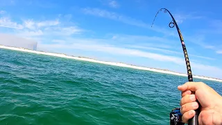 We Hooked MONSTER Fish Right Off the BEACH