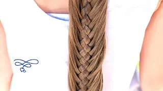 Woven Fishtail Braid