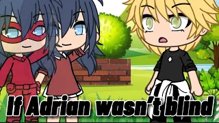 ~(If Adrian wasn’t blind)~||MLB||gacha life