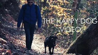 The Happy Dog Video