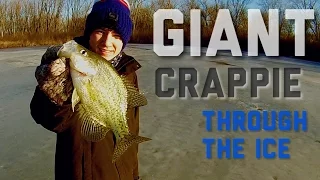 Crappie Through THIN ICE--ICE fishing 2016