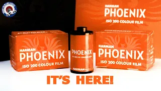 BRAND NEW FILM Harman Phoenix 200 Colour Film. Let's shoot some colour film!