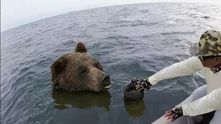 50 animales que pidieron ayuda y bondad a la gente