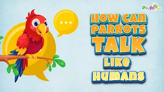 How can parrots talk like humans