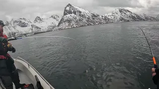 лофотенские острова норвежский второй день.дул очень сильный ветер