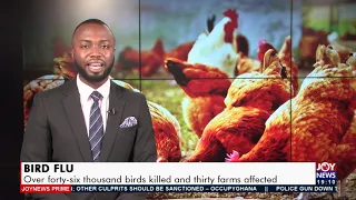 Joy News Prime (10-8-21)