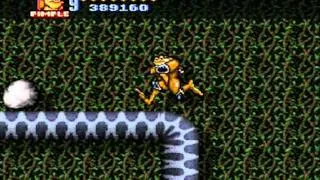 Battletoads in battlemaniacs Walkthrough complete