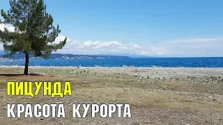 КРАСОТА курорта ПИЦУНДА | ЛЕТНЯЯ АБХАЗИЯ | СУБТРОПИЧЕСКОЕ ПОБЕРЕЖЬЕ