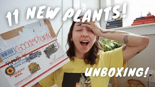 MEGA HOUSEPLANT UNBOXING | hoya varieties and a wishlist plant!