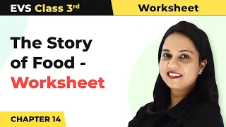 Class 3 EVS Chapter 14 | The Story of Food - Worksheet