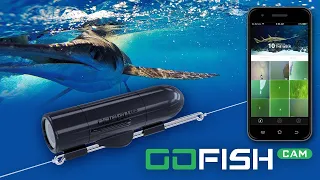 GoFishCam full Review