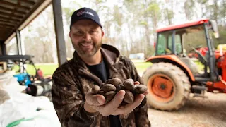 Pecan Farming 101