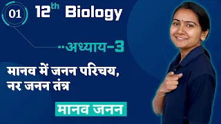 L-1, मानव में जनन/नर जनन तंत्र (Models) अध्याय-3, मानव जनन | Human Reproduction | 12th Biology