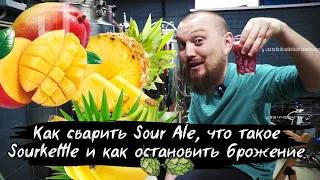 Как сварить  кислое пиво Sour Ale, что такое Sourkettle и как остановить брожение