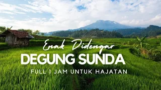 🔴 degung Sunda pernikahan sabilulungan full album dengan kacapi sulung klasik