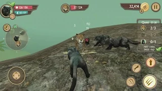 Wild Panther Sim 3D Android Gameplay #8