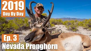 Public Land Buck! | 2019 Nevada Pronghorn (Ep. 3)