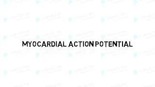 Myocardial action potential