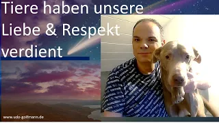 Bedeutung der Tiere und Ihre Botschaften für Dich + Tagesorakel