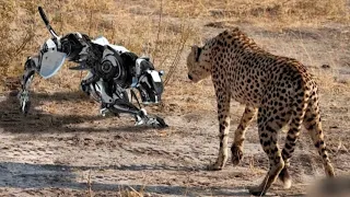 Modern super intelligent robots. Amazing superfast robotic animals.