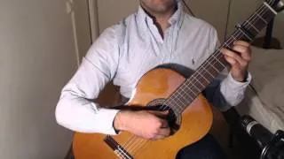 Secunda - The Elder Scrolls V: Skyrim on Guitar