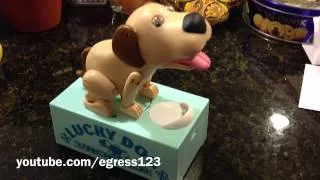 Doggy Coin Bank 2!! - Weird Japanese Toys