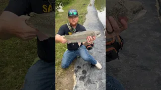 Giant rainbow landed in our sportsman pond! #fishing #trout #troutfishing #catchandrelease #shorts