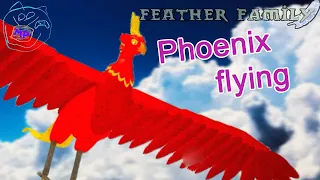 просто красивый полет феникса в семье птиц | roblox feather family phoenix | Multikplayer