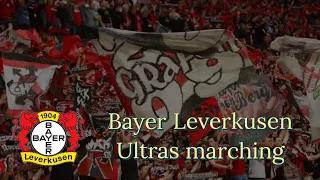 ULTRAS BAYER LEVERKUSEN (GERMANY) - 02