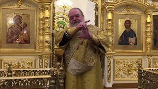 Проповедь диакона Димитрия Тимошенкова в Неделю 35-ю по Пятидесятнице.
