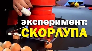 Галилео. Эксперимент. Скорлупа