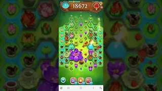 Blossom  Blast  Saga  2638