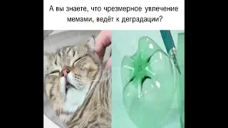 Лютые Приколы - Мемы ведут к Деградации / 1 апреля / Мемы с озвучкой