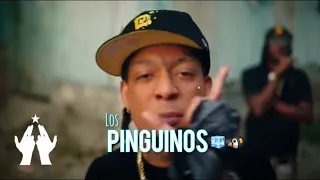 Rochy RD , Pablo Piddy , Dj Patio - LOS PINGÜINOS 🧊🐧