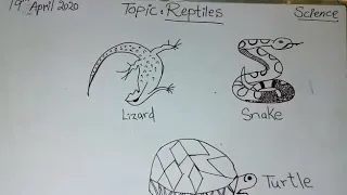 REPTILES | For kids