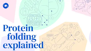 Protein folding explained