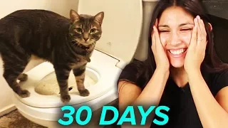 I Tried Training My Cat To Use A Toilet In 30 Days