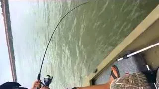 Tarpon fishing (25pound) in Paranam Suriname (Kian Chi)