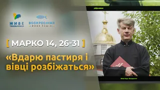 Вдарю пастиря і вівці розбіжаться. Марко 14, 26-31 | о. Євген Станішевський