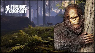 Охотимся на йети - Bigfoot