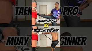 TAEKWONDO VS MUAY THAI