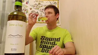 Испанское белое Verdejo