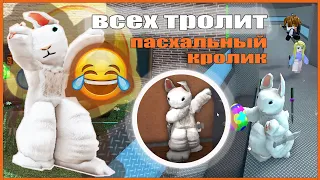 ТРОЛЛЮ ИГРОКОВ ММ2 ПАСХАЛЬНЫМ КРОЛИКОМ!🐰 *я в шоке*