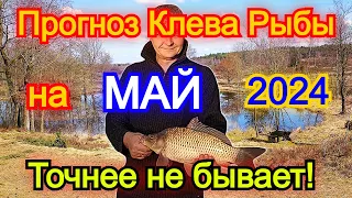 Календарь рыбака на май 2024 Прогноз клева рыбы Лунный Календарь рыбака 2024!