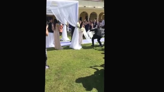 Accident at the Wedding