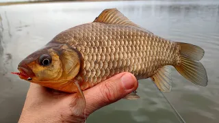 Мормышинг.Весна.Разведка старых мест.