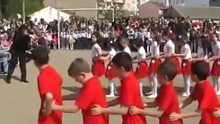 Penguen Dansı Gösterisi
